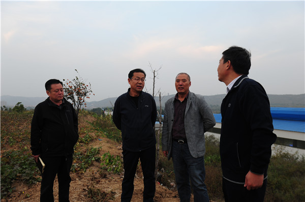 牛颖建书记武彭炉衬现场办公 牛颖建书记武彭炉衬现场办公